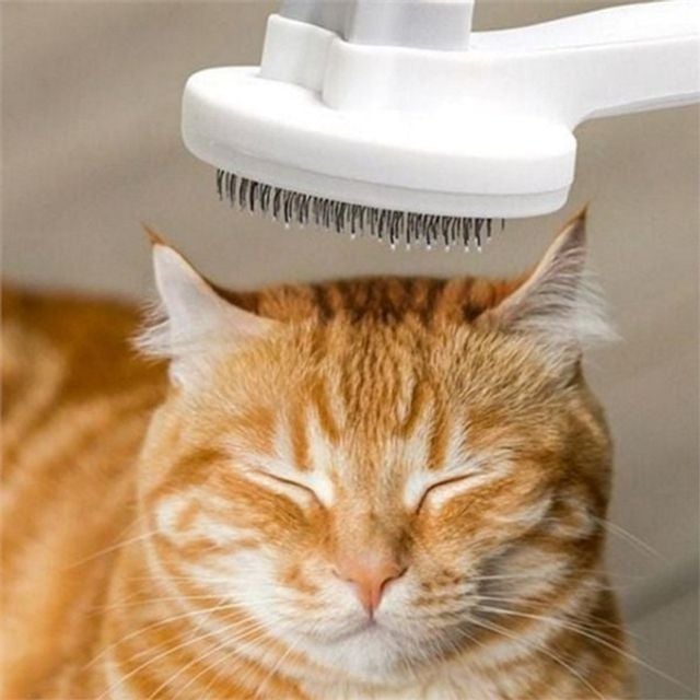 강아지 원터치 브러시 고양이 원터치 브러시 반려동물 슬리커 죽은 털갈이 자동 제거 용품