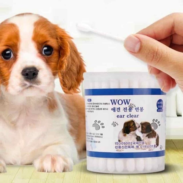 면봉 80p 강아지면봉 반려견귀청소 귓밥제거 애견용품
