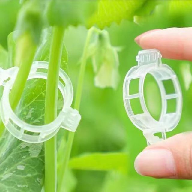 원예 식물 줄기 고정지지대 클립 10P - 이미지 2