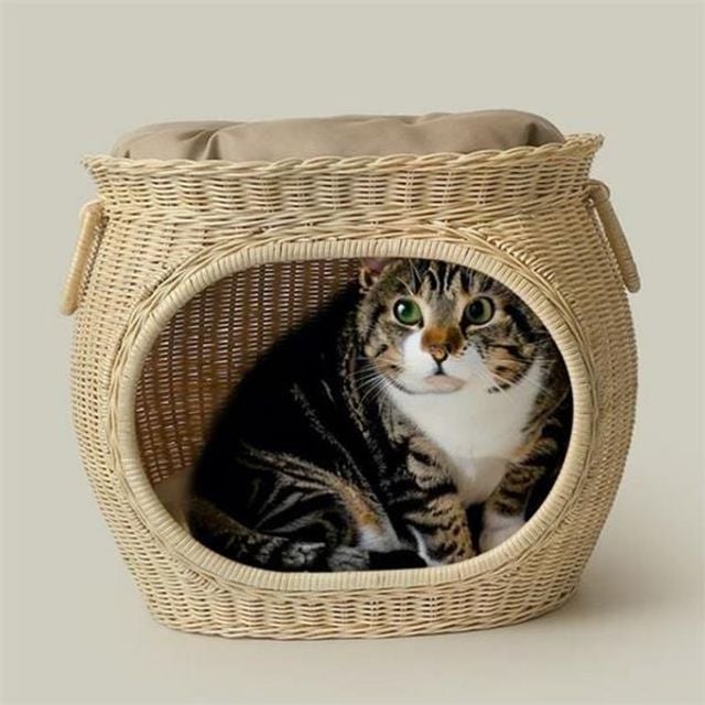 반려동물 라탄 펫 하우스 등나무 라탄 고양이 집 원형펫 숨숨