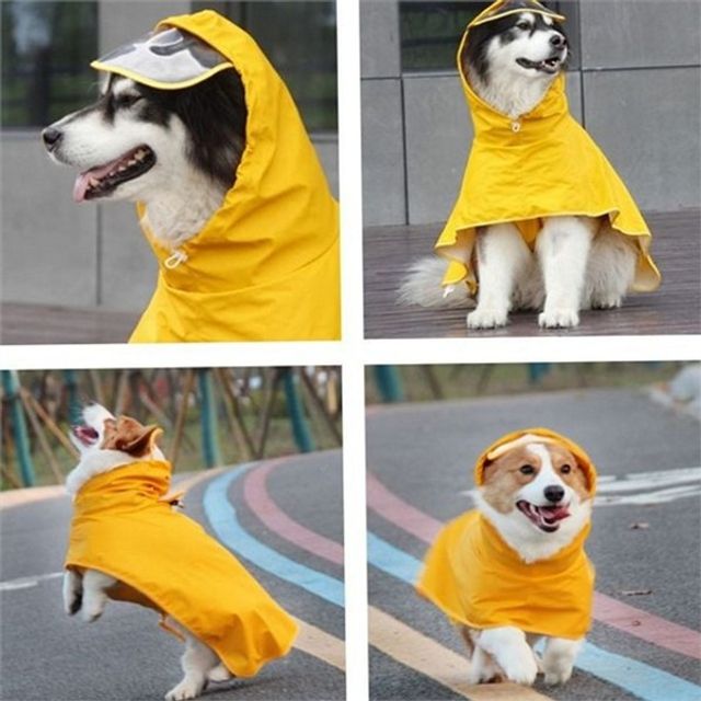 강아지 우비 강아지 레인코트 강아지산책 비오는날 소형견 중형견 대형견 장마철