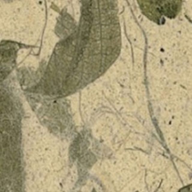 한지로응용한지1 망고지 5장 - 31615
