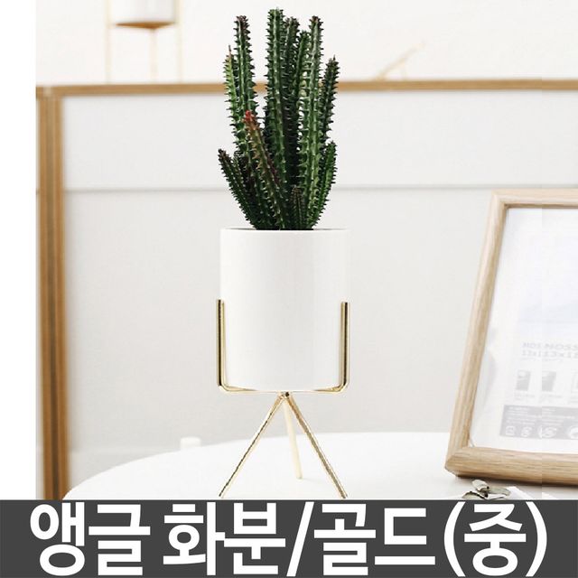 화분 식물 인테리어 다육이 도자기 미니 화병 골드 중
