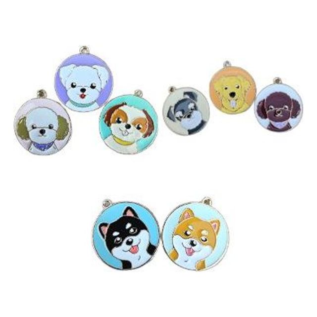 반려견 강아지 인식표 목걸이 각인 써지컬스틸