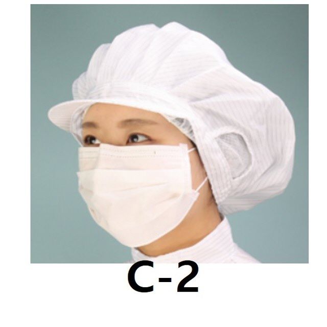 방진모 귀막이, 제전모 QPRO 귀망 사 C-2