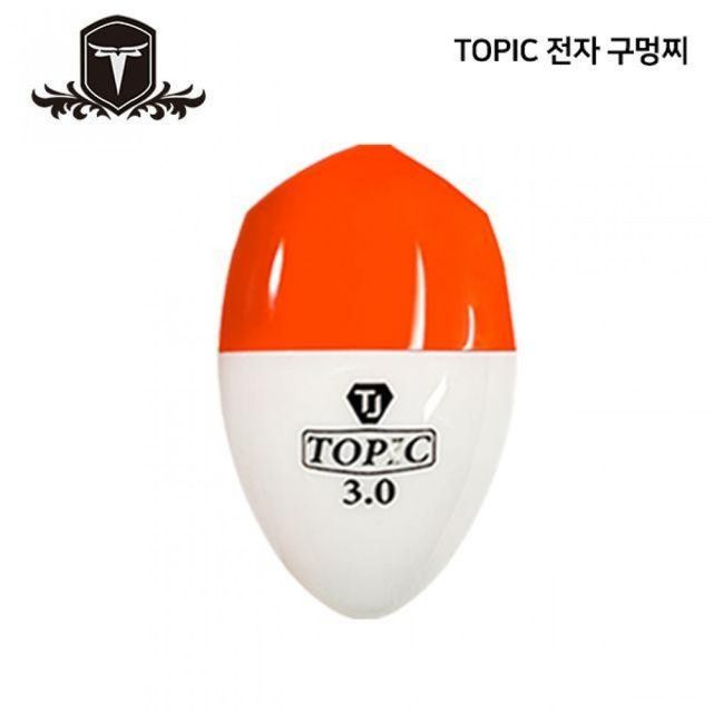 TOPIC 전자 구멍찌 주야 겸용 수중찌 1개 주야겸용 낚시찌 바다 찌