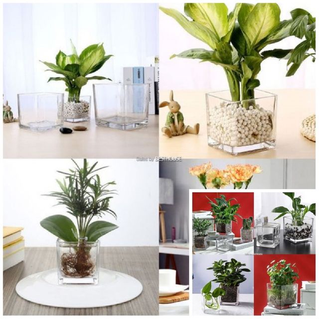 사각 유리 화병 10x10x20cm 인테리어화병 빈티지화병 예쁜화병 엔틱화병