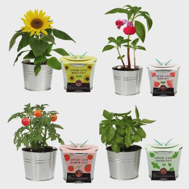 식물인테리어 캔화분 DIY 재료 모음