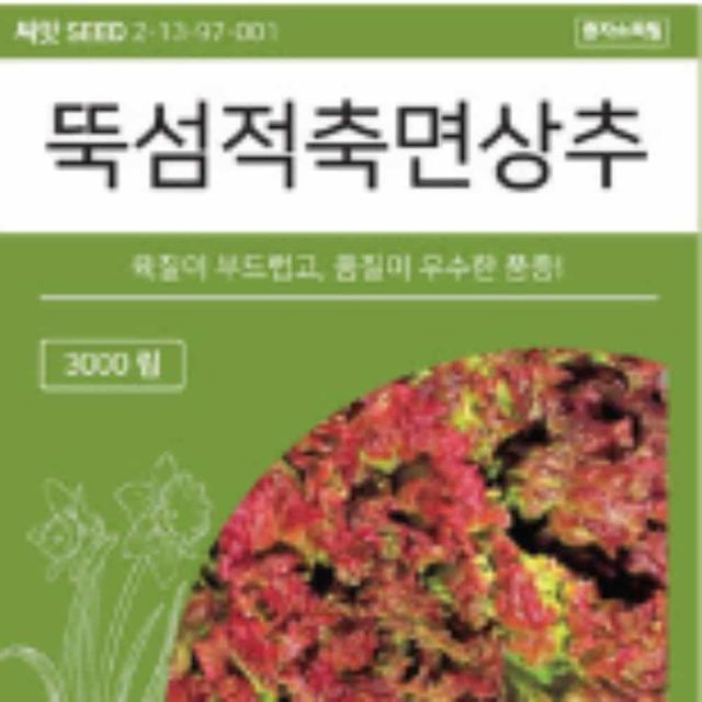 적색 상추 3000립 상추씨 상추씨앗
