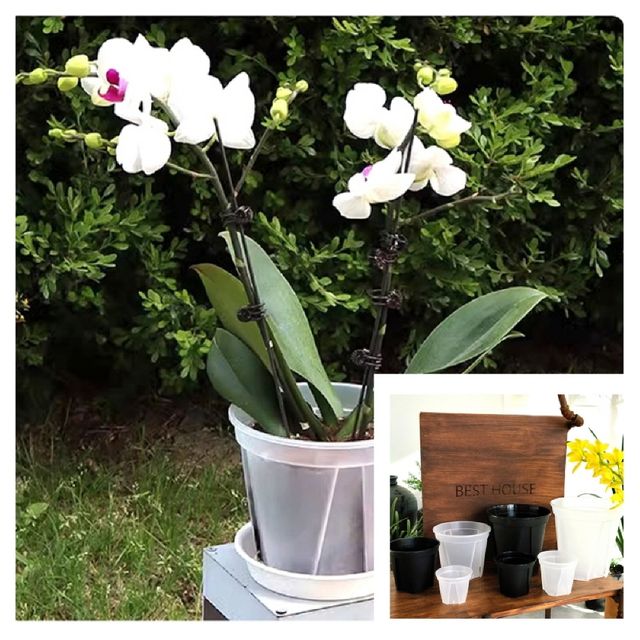 플라스틱 표준형 슬릿화분 삽목화분 18cm 투명 야외화분 베란다화분 정원화분 난간화분