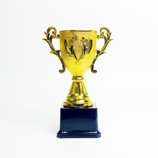 미니트로피 우승컵 축구 태권도 체육대회 상장 (대형)