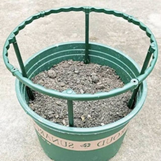 식물 지지대 15cm 원형지지대 묘목지지대 화분지주대