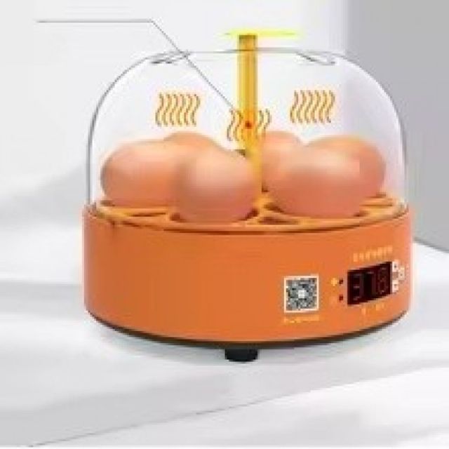 부화기 병아리 회전 자동 계란 부화 전란기 6구 미니