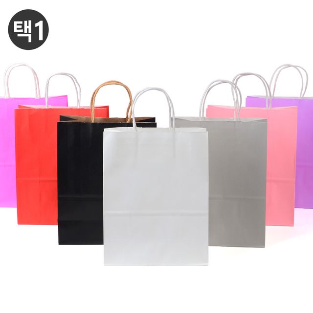 심플 컬러 종이 쇼핑백