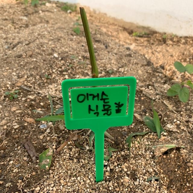 화분픽 클립형 식물 라벨 이름표 5P