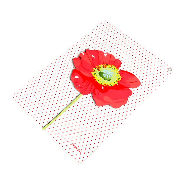 CVD 톨파피 티타올 CV80043-TT 흡수력 좋은 행주