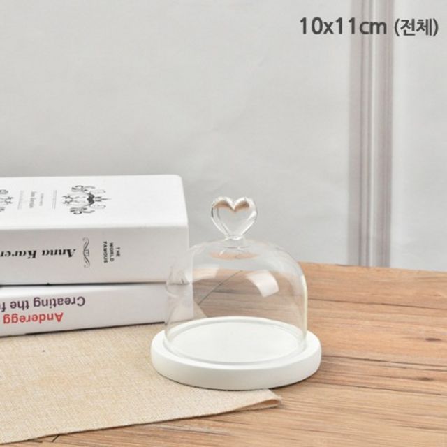 04 원목받침 반구유리돔 용기 화이트 10개 - 인테리어 디스플레이 세트