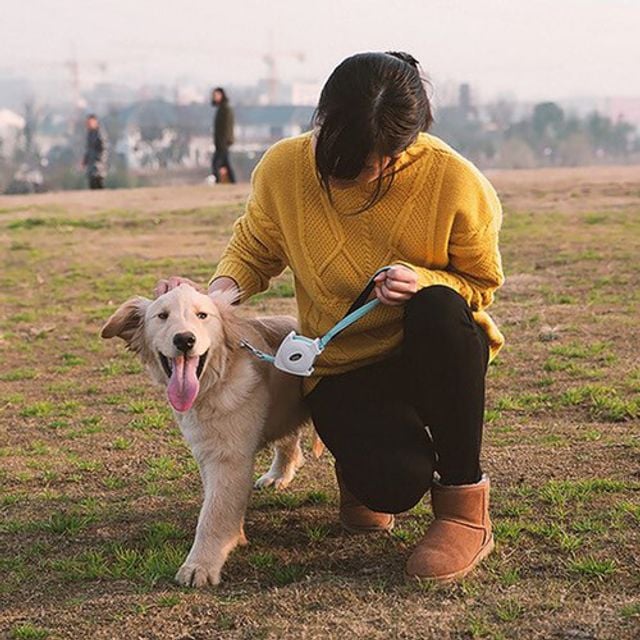 이지고 강아지 리드줄(L) 애견 개목줄 산책줄 반려견