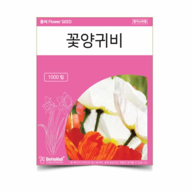 꽃양귀비 씨앗 1000립 식물씨앗 씨앗키우기