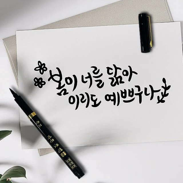 부드러운 방명록 붓펜 브러쉬펜 - 글씨쓰기 전용 필기구