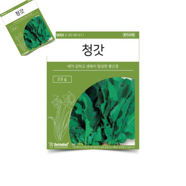 텃밭 채소 씨앗 청갓 청갓씨앗 청갓키우기 야채씨앗 채소종자