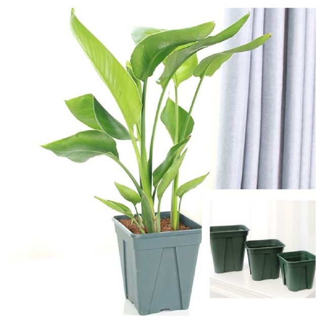 사각가드닝 슬릿분 슬릿화분 그린색3호 21x21x21cm 야외화분 베란다화분 정원화분 난간화분