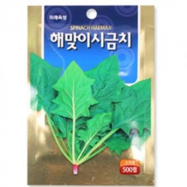모종 텃밭 가꾸기 시금치 씨앗 500립 상추씨앗 꽃씨앗
