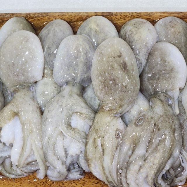 혜명몰 냉동 쭈꾸미 1kg 냉동해산물 업소용쭈꾸미 냉동수산물 쭈꾸미수입 급냉쭈꾸미