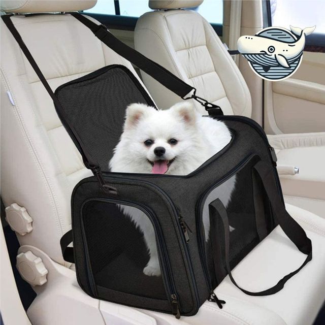 트렌디 강아지 이동가방 접이식 고양이 캐리어