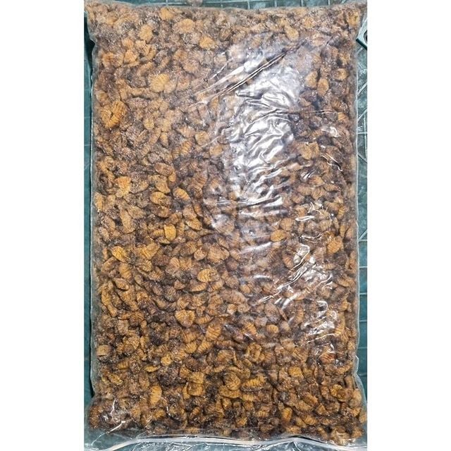 번데기(4Kg) X4