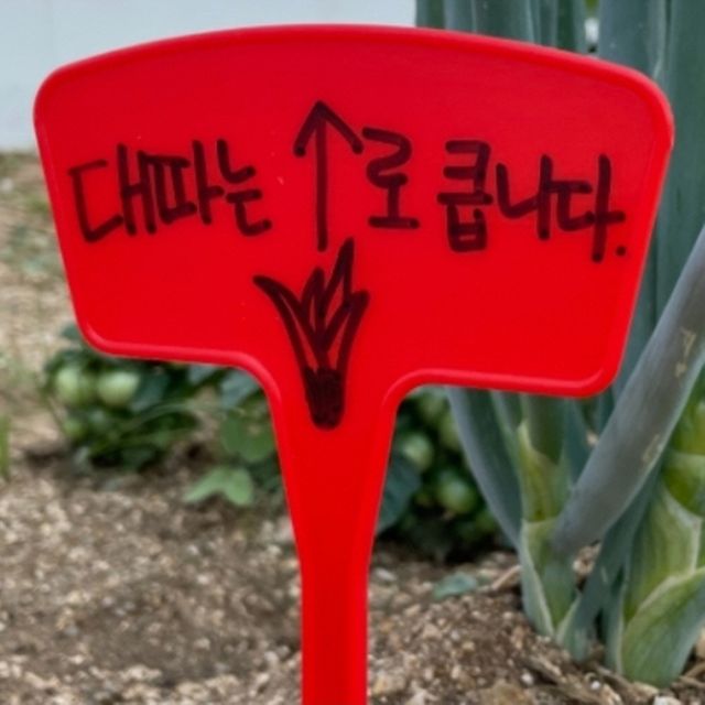 원예이름표 식물 27cm 화분픽