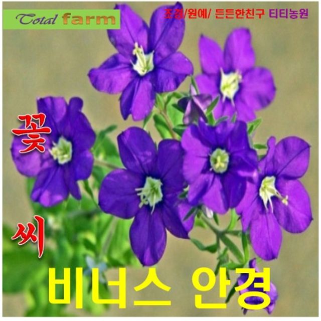 (씨앗나라) 비너스 씨앗 15 립