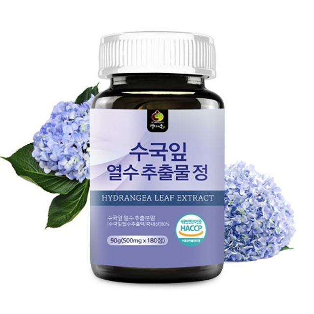 수국잎 열수 추출물 정