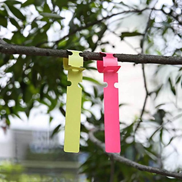 식물 나무 라벨 100P 리본 표시 태그 원예