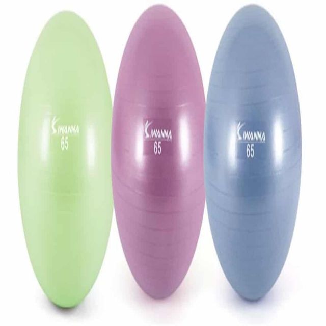 펌프포함 짐볼 65cm (랜덤) 요가공 필라테스공 헬스장짐볼 헬스짐볼 스트레칭볼