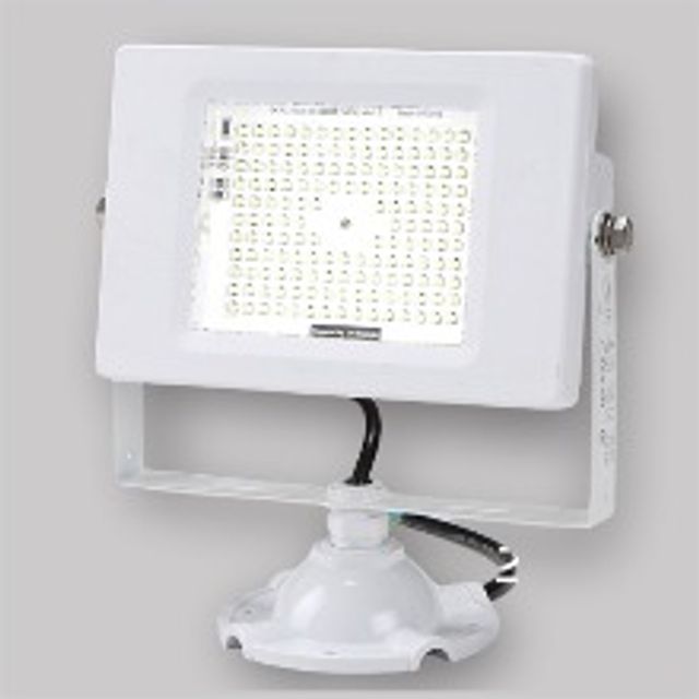 LED 사각 노출 투광등 60W 주광색 화이트 공장등 보안등 세광산업