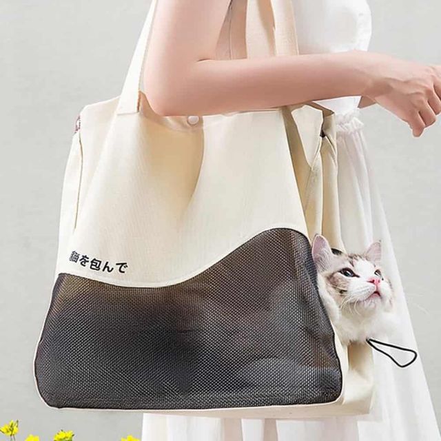 반려동물 이동가방(아이보리) 고양이가방 고양이이동