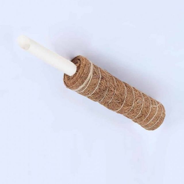 식물 고추 지지대 60cm