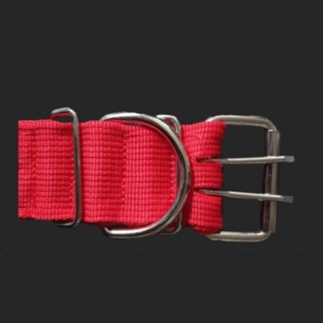 PP 밸트 개목줄 50mm 70cm 빨강 치와와목줄 반려견목줄 포메라니안목줄