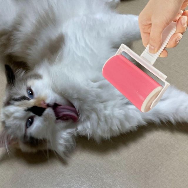 털 먼지 제거 세척 가능한 접착 롤러 클리너