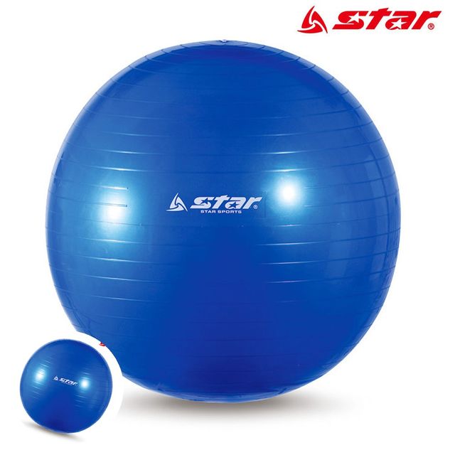 헬스장짐볼 마사지짐볼 짐볼 55cm 블루
