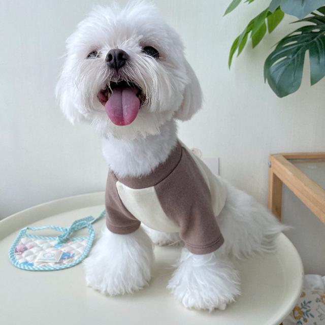 강아지 티셔츠 나그랑 면티, 반려견 반팔 티셔츠