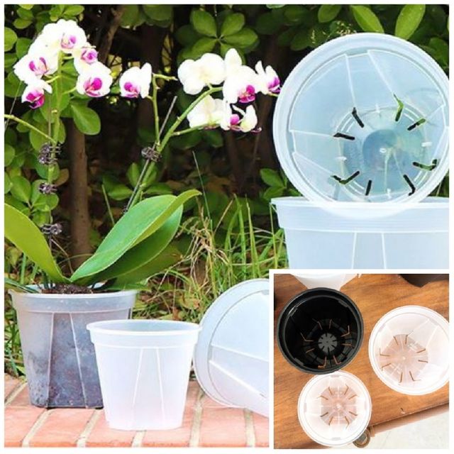 플라스틱 표준형 슬릿화분 삽목화분 24cm 투명 플라스틱화분 인테리어화분 정원용품 플라스틱화분다이