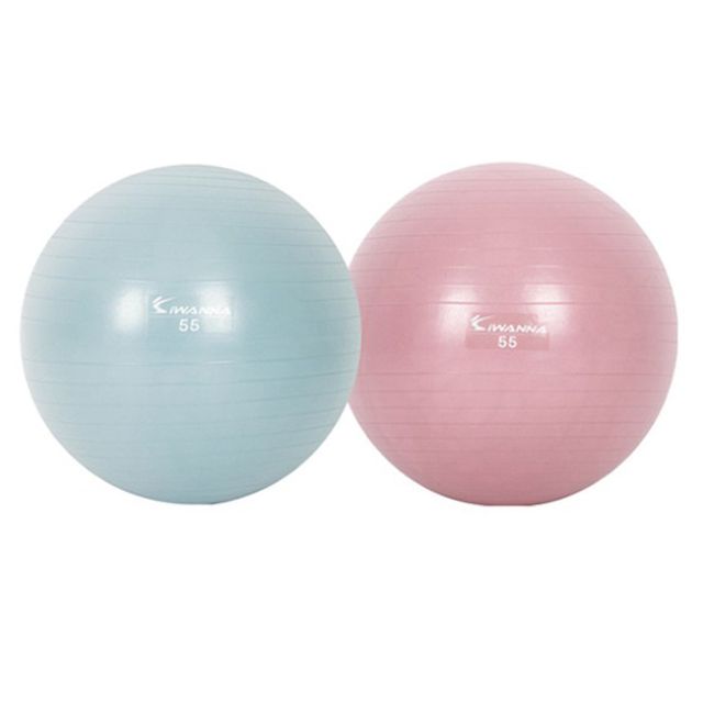 홈트 안티버스트 짐볼 55cm 1P 전신운동 스트레칭
