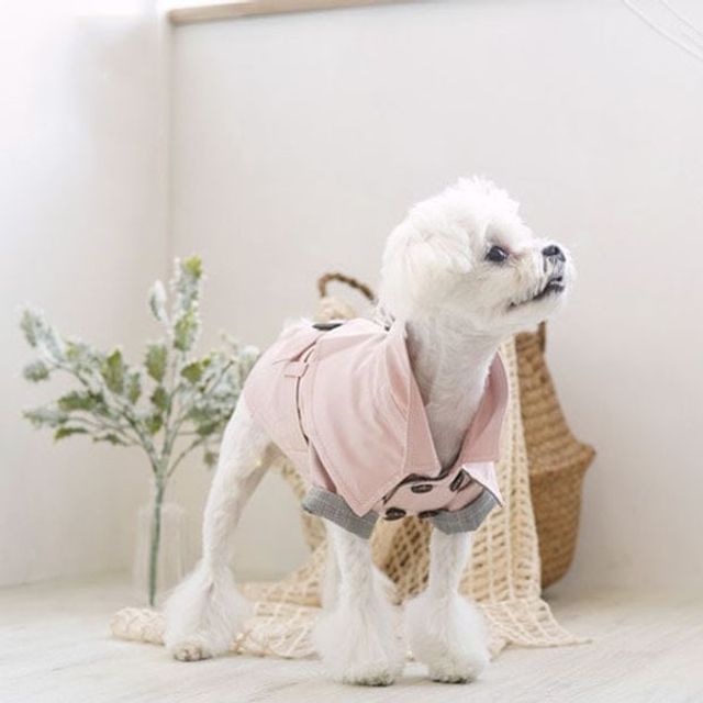 패리스독 강아지 트렌치 코트 애견옷 클래식 스타일