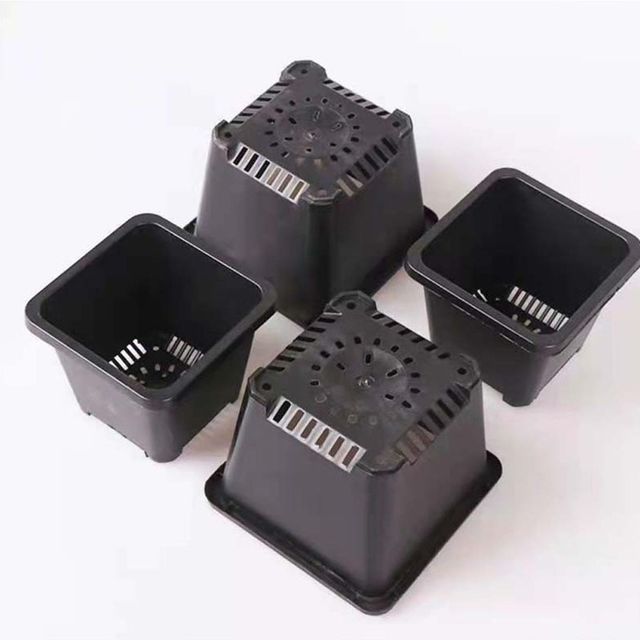 혜명몰 플라스틱 사각 다육이 화분(6.5 X 6.5 cm) 정원용품 플라스틱화분 포트화분 옥상화분 컵포트