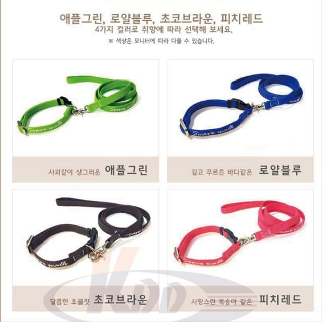 강아지 목줄 애견 솔리드 세트 10mm 외출 산책용 리드