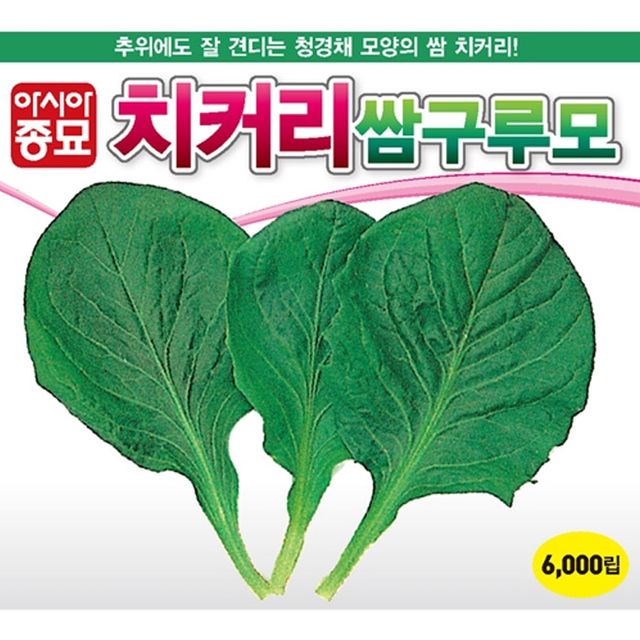 추위에강한 쌈채소 치커리 씨앗 쌈구루모 종자