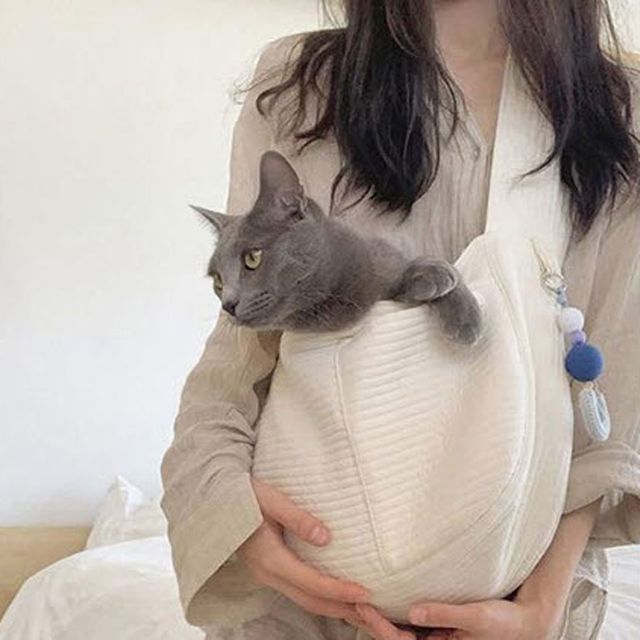 반려동물 산책 가방 이동가방 슬링백 어린 강아지