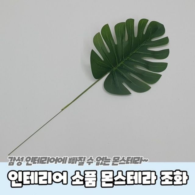 몬스테라 조화 인테리어 촬영소품 나뭇잎 장식 식물